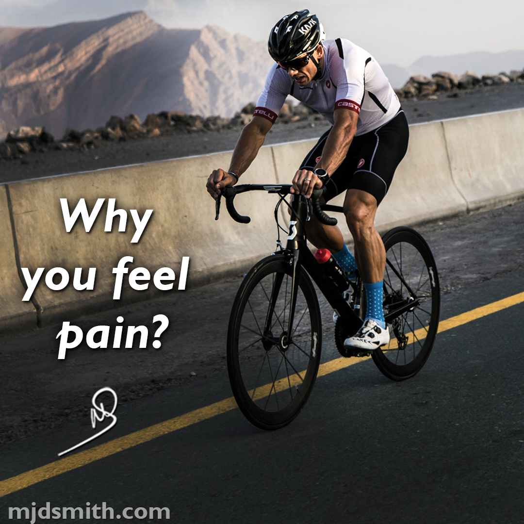 Why you feel pain?