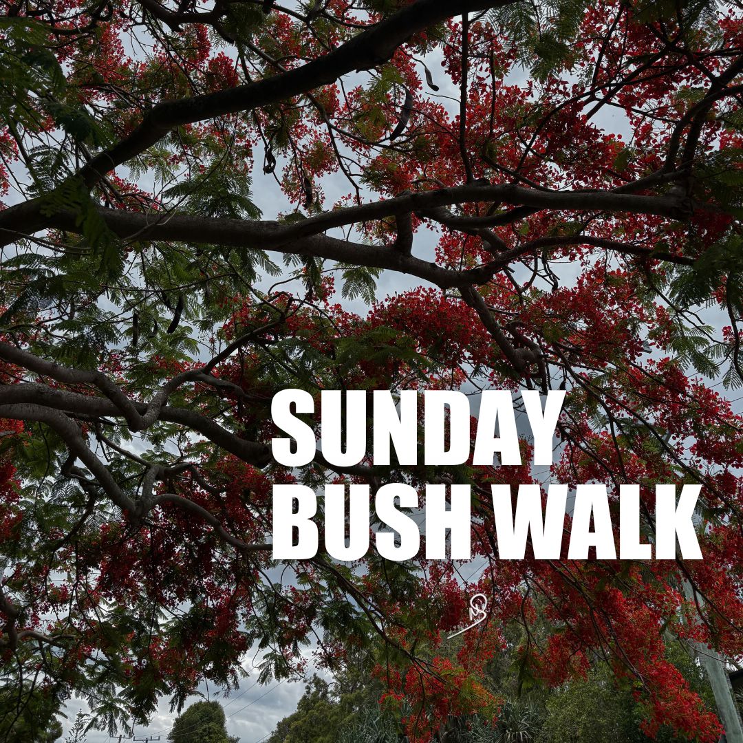 Sunday bush walk